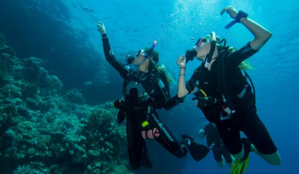 PADI SPECIALTY TWO DIVES